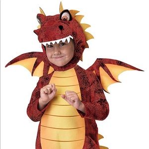 Child’s dragon costume